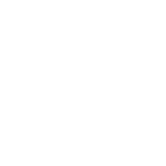 garmin white